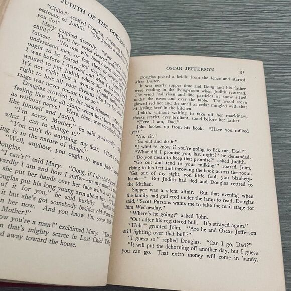 Judith of the Godless Valley by Honore Willsie Vintage Antique Book - Picture 5 of 7